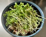 さっぱり飲めるカイワレかにかまポン酢作り方3写真