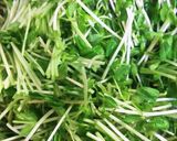 豆苗と納豆と塩昆布のネバネバサラダ♡作り方1写真