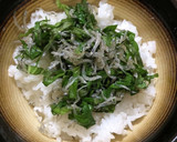 シソとちりめんの海鮮丼、サラダ、つまみ作り方6写真
