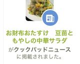 お財布おたすけ　豆苗ともやしの中華サラダ作り方10写真
