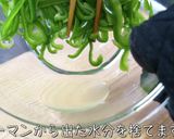 超簡単♬ピーマンとゆかりのスピードサラダ作り方4写真