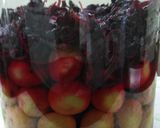 梅干し作り方5写真