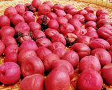 梅干し作り方7写真