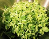 小松菜と豆苗のお好み焼き風作り方1写真