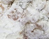 ヘルシーえびの麻婆豆腐作り方4写真