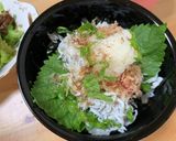 乗せるだけで出来上がり！シラス丼作り方7写真