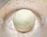 牛乳育ちのヨーグルト種作り方16写真
