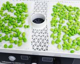 乾燥枝豆と枝豆パウダーの作り方作り方2写真