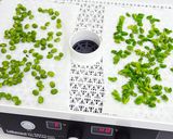 乾燥枝豆と枝豆パウダーの作り方作り方4写真