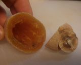 *干し柿の生チョコ小豆トリュフ*作り方1写真