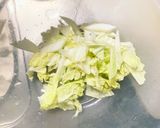 隙間埋め新玉ねぎと白菜の中華風マリネ作り方2写真