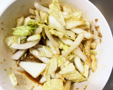 隙間埋め新玉ねぎと白菜の中華風マリネ作り方8写真