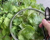 大葉漬け作り方1写真