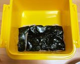 のり段々炒り玉子弁当作り方7写真