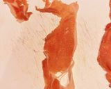 人参といんげんの豚肉巻き作り方2写真