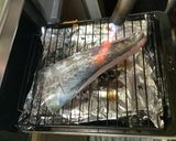 サワラの森作り方3写真