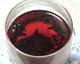 ハイビスカスゼリー作り方1写真