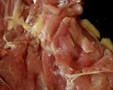 材料3つ【オイスター照り焼きチキン】作り方4写真
