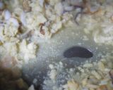 高野豆腐で卯の花・おから風炒り煮作り方2写真