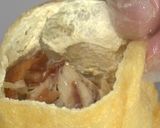 旨味が凝縮！サバきんちゃく【食遺産】作り方3写真