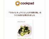 ワカメとキュウリとしらすの酢の物♡作り方7写真