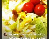 #超簡単　調味料大さじ２の白菜サラダ作り方5写真
