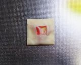 乗せて焼くだけ爆裂簡単 餃子の皮ピザ作り方2写真