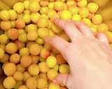 重石要らず！小梅1kgをジッパー袋DE！作り方8写真