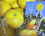 初夏の味覚✨さわやかデザート　日向夏作り方1写真