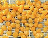 重石要らず！小梅1kgをジッパー袋DE！作り方24写真