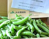 スナップえんどうと砂肝の炒め物♪作り方1写真