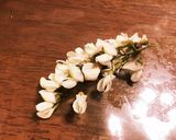ニセアカシアのドライハーブティーの作り方作り方1写真