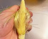 ヤングコーンの皮むき（自己流）作り方5写真