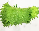 うちのやり方♤大葉の切り方とアク抜き法作り方3写真