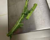 見た目はケール。味はトマトの初夏ジュース作り方4写真