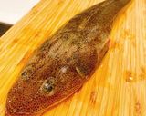 マゴチの捌き方 刺身 お造り作り方1写真