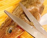 マゴチの捌き方 刺身 お造り作り方3写真