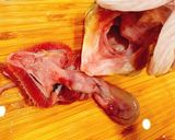 マゴチの捌き方 刺身 お造り作り方11写真