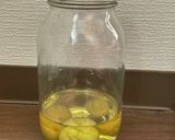 青梅でいろいろ①ジンで作るちょこっと梅酒作り方5写真