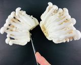 きのこのピクルス【菌活レシピ】作り方6写真