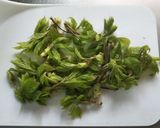 コシアブラ御飯作り方1写真