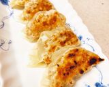 具材は袋で簡単に☆家庭の白菜餃子作り方6写真