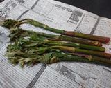 春から初夏にかけての味 山うどのきんぴら作り方1写真