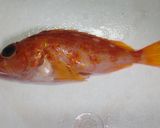 アヤメカサゴの煮付け作り方1写真