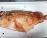 ウッカリカサゴの煮付け（かぶと煮）作り方1写真