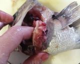 ★丸ごと一匹★鯛さばき作り方7写真