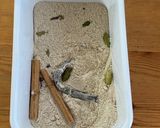 きび砂糖で　クラフトコーラベース作り方1写真