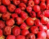 8%の塩、8%の氷砂糖で最高の梅干し作り方22写真