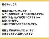とろろ昆布 お吸い物作り方14写真