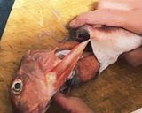 簡単! ホウボウの捌き方作り方4写真